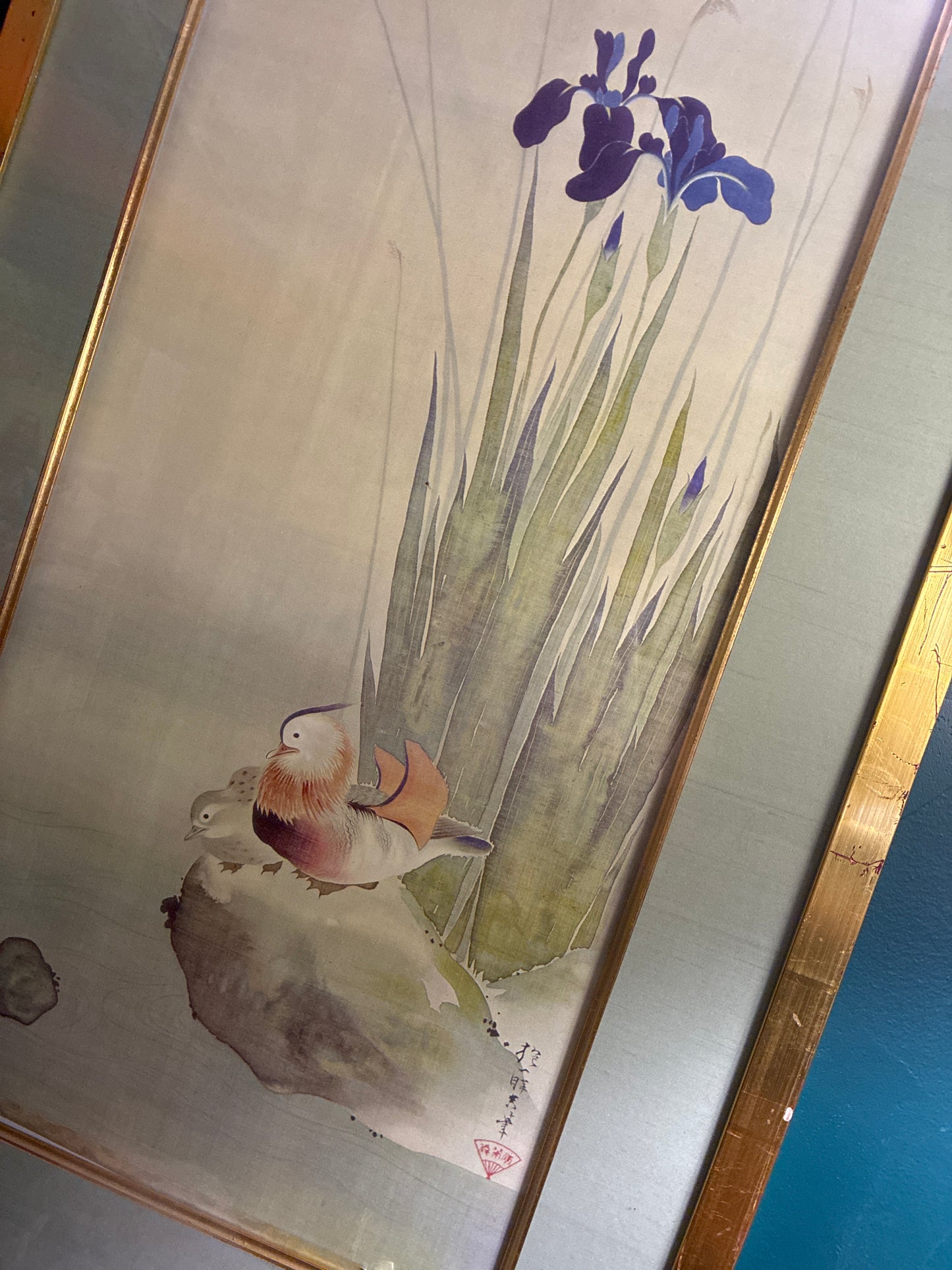 Japanese framed watercolor iris and Mandarin