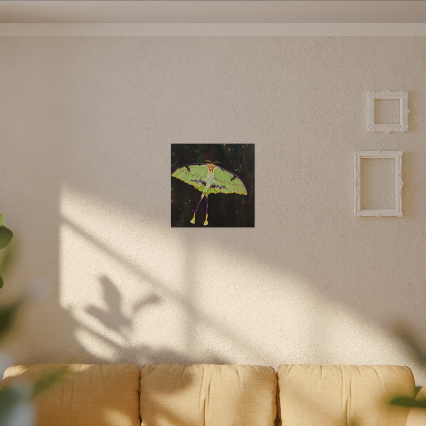 Luna Moth Canvas Wall Art — Matte Stretched Insect Print