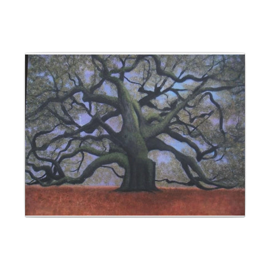 Majestic Angel Oak — Matte Stretched Canvas Wall Art