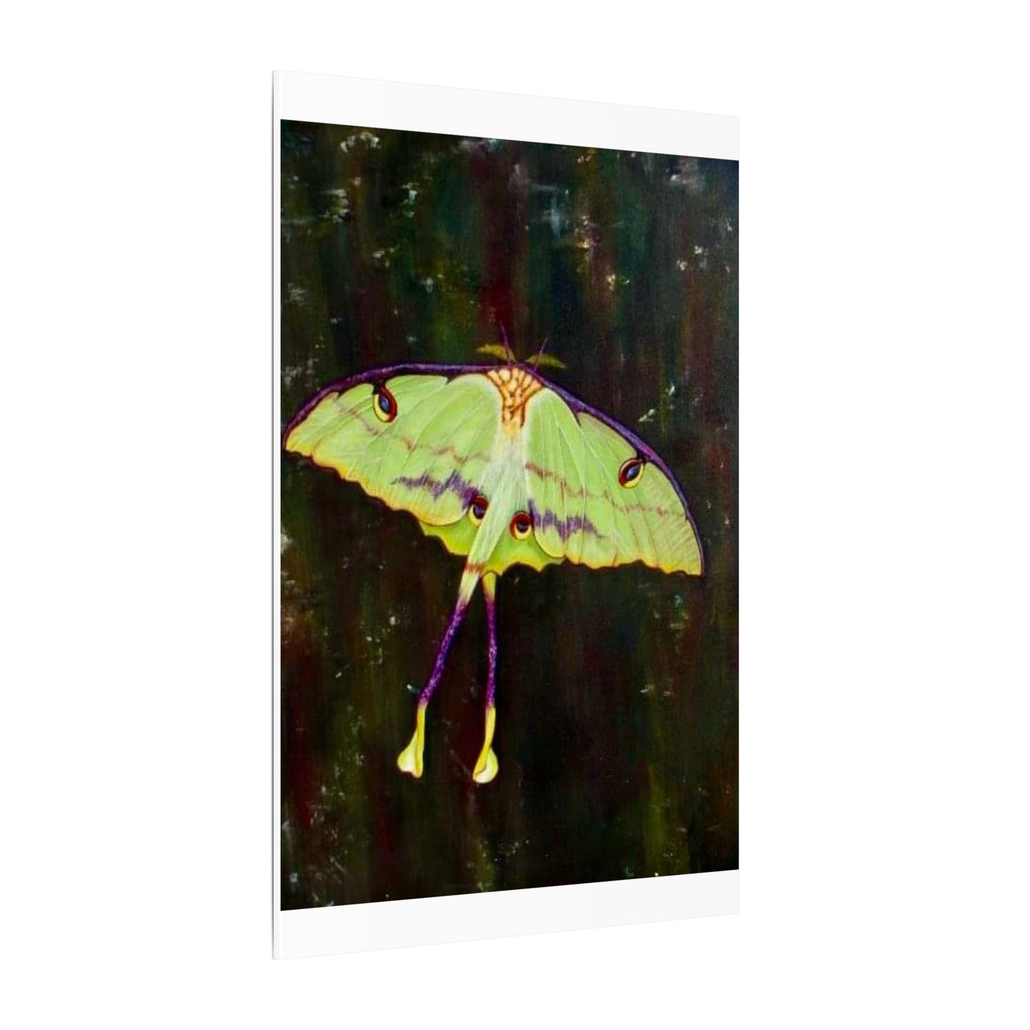 Luna Moth Canvas Wall Art — Matte Stretched Insect Print