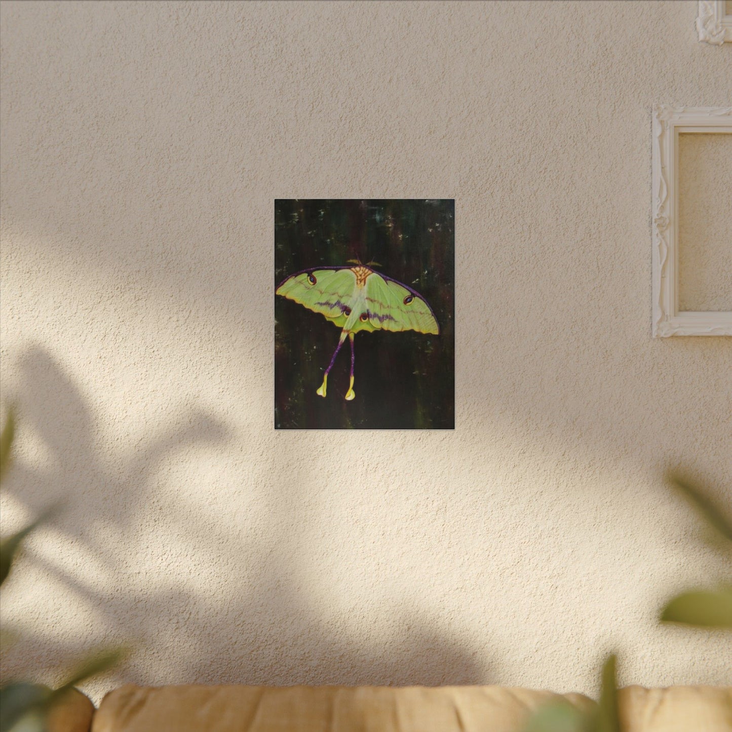 Luna Moth Canvas Wall Art — Matte Stretched Insect Print