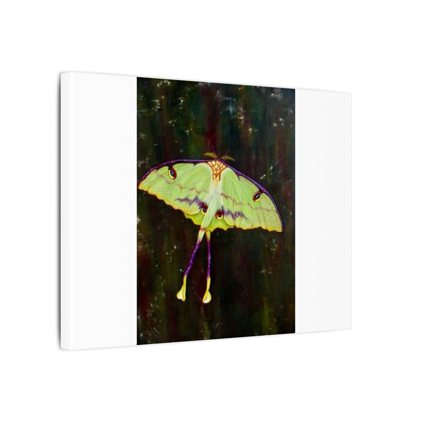 Matte Canvas, Stretched, 0.75" (Multi-Size)