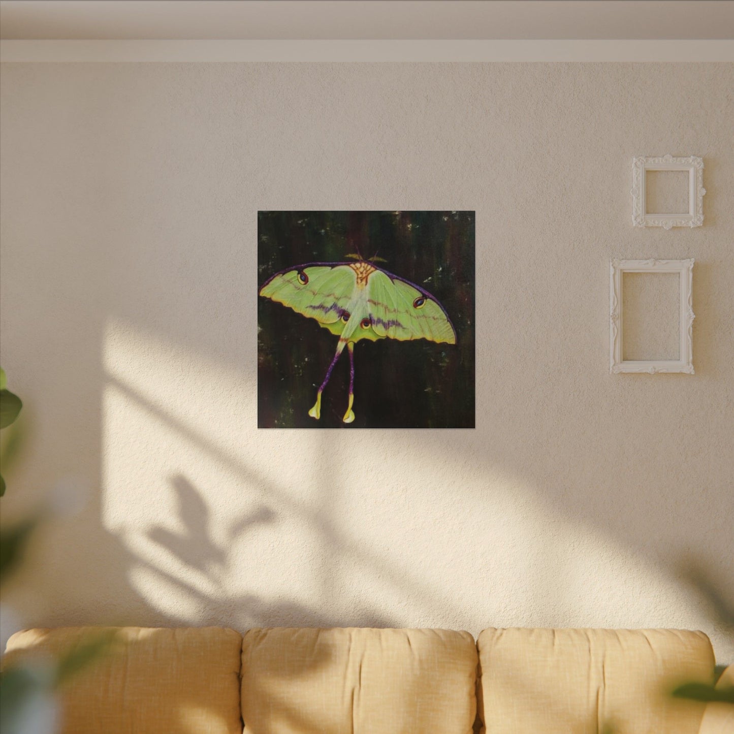 Luna Moth Canvas Wall Art — Matte Stretched Insect Print