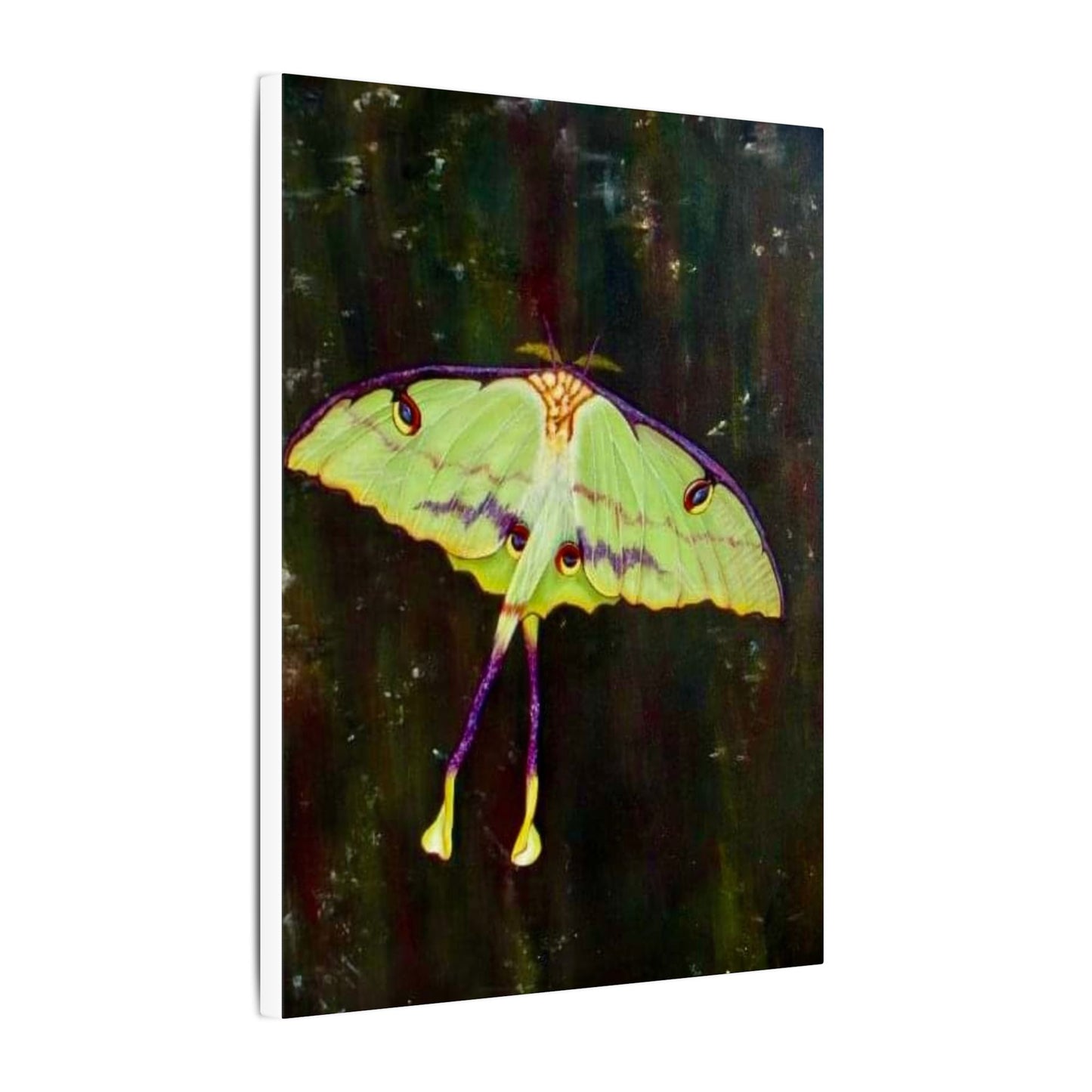 Luna Moth Canvas Wall Art — Matte Stretched Insect Print