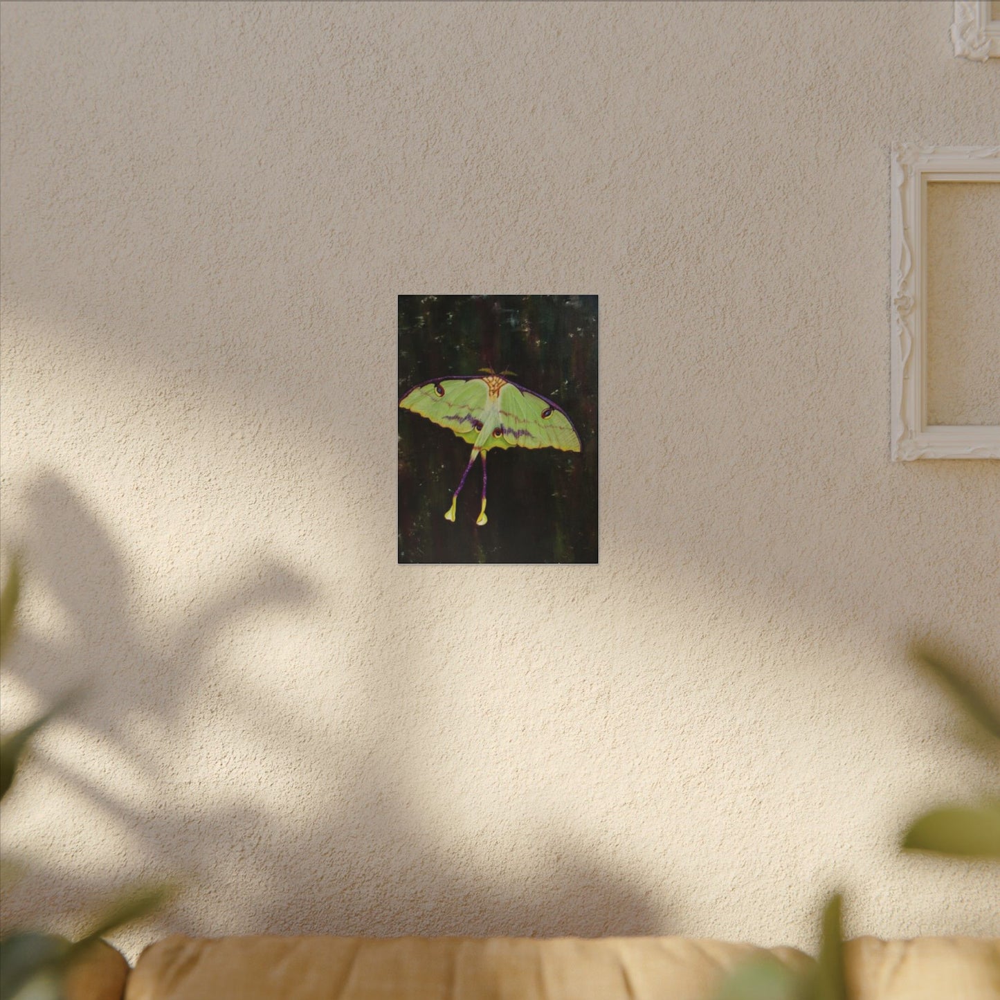 Luna Moth Canvas Wall Art — Matte Stretched Insect Print