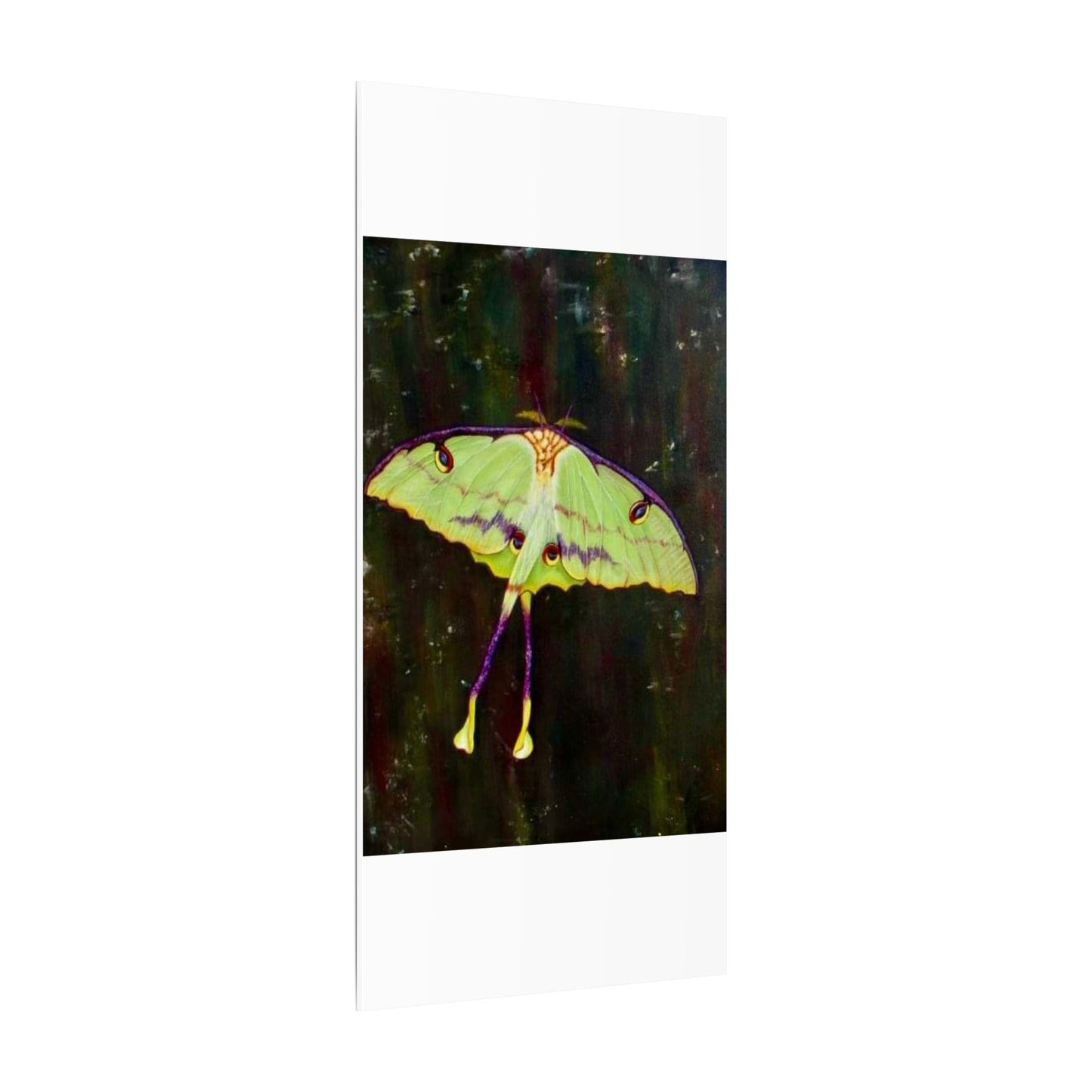 Luna Moth Canvas Wall Art — Matte Stretched Insect Print
