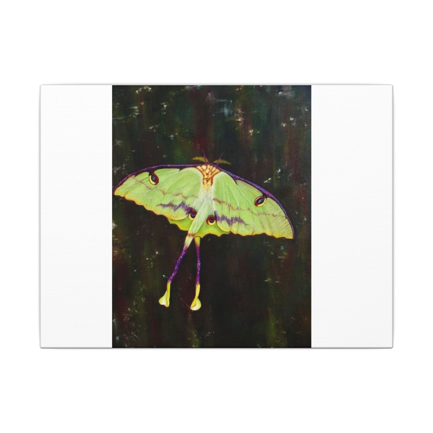 Matte Canvas, Stretched, 0.75" (Multi-Size)