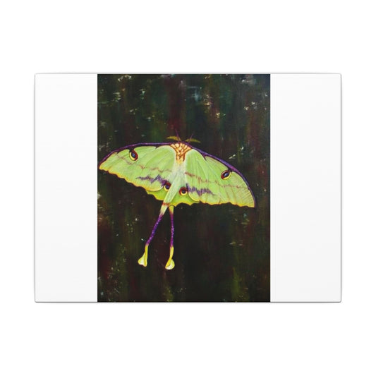 Matte Canvas, Stretched, 0.75" (Multi-Size)