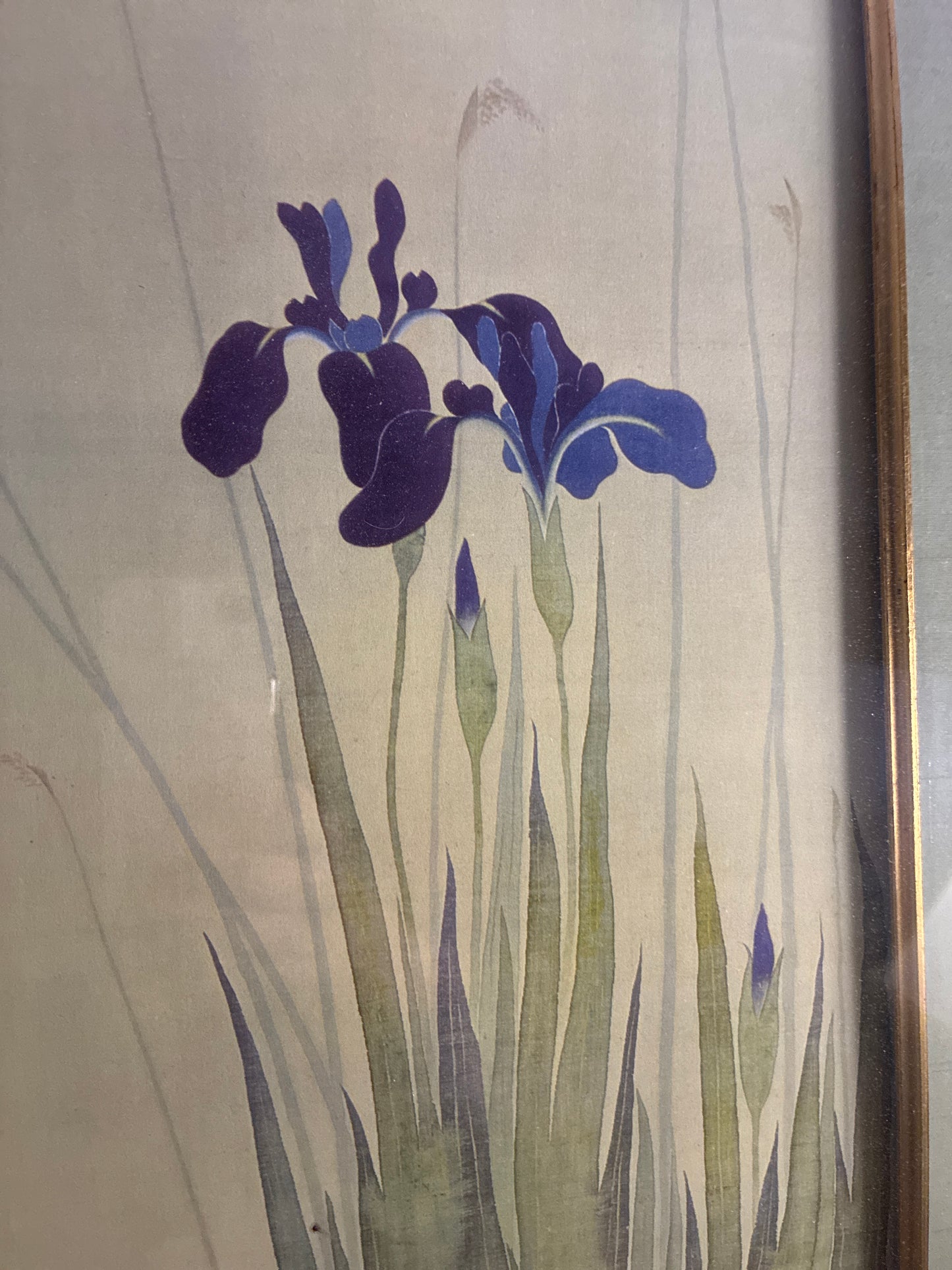 Japanese framed watercolor iris and Mandarin