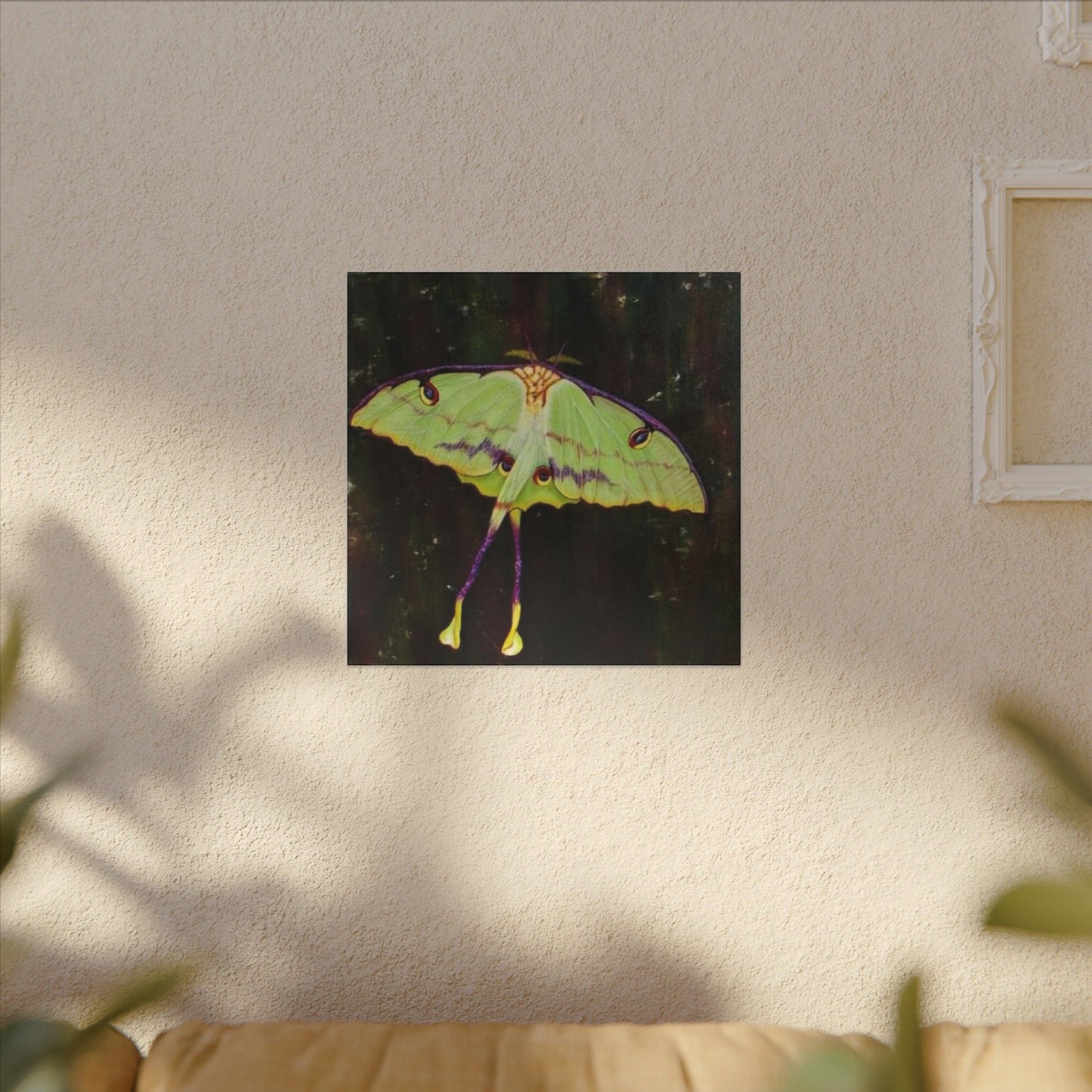 Luna Moth Canvas Wall Art — Matte Stretched Insect Print