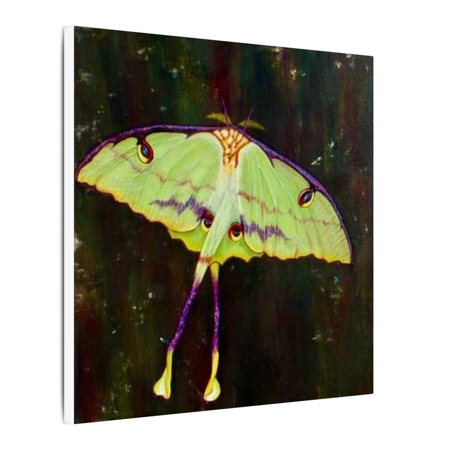 Luna Moth Canvas Wall Art — Matte Stretched Insect Print