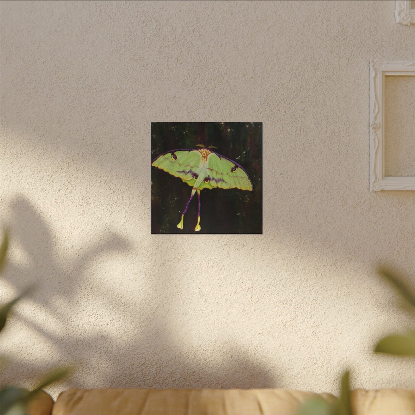 Luna Moth Canvas Wall Art — Matte Stretched Insect Print