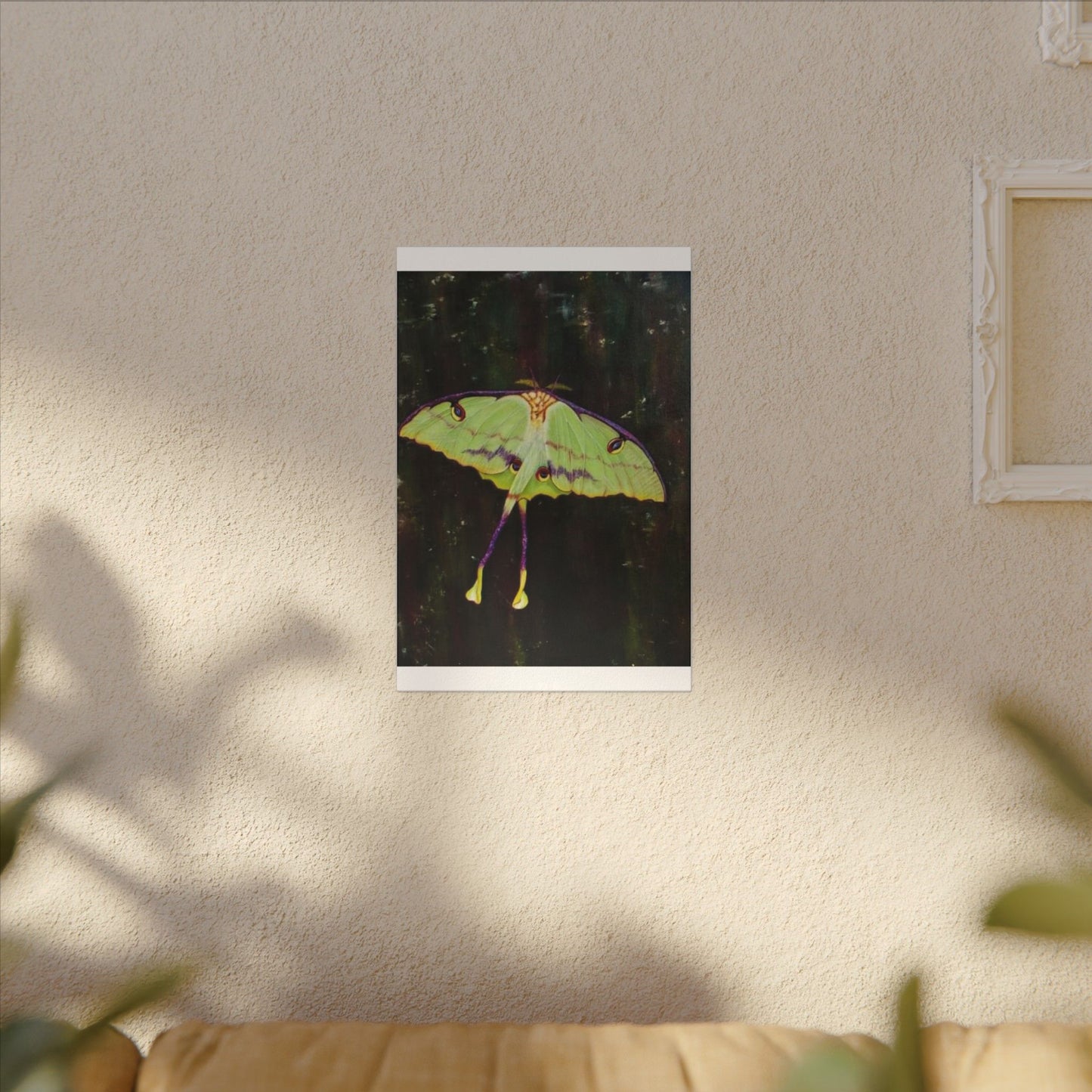 Luna Moth Canvas Wall Art — Matte Stretched Insect Print