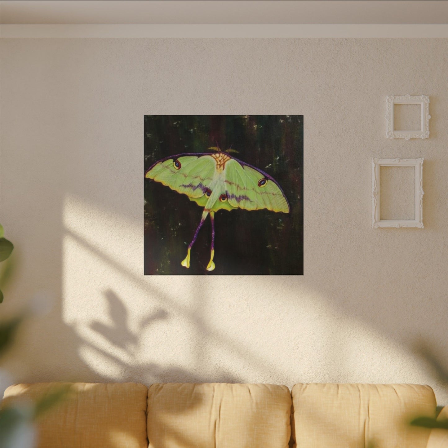 Luna Moth Canvas Wall Art — Matte Stretched Insect Print