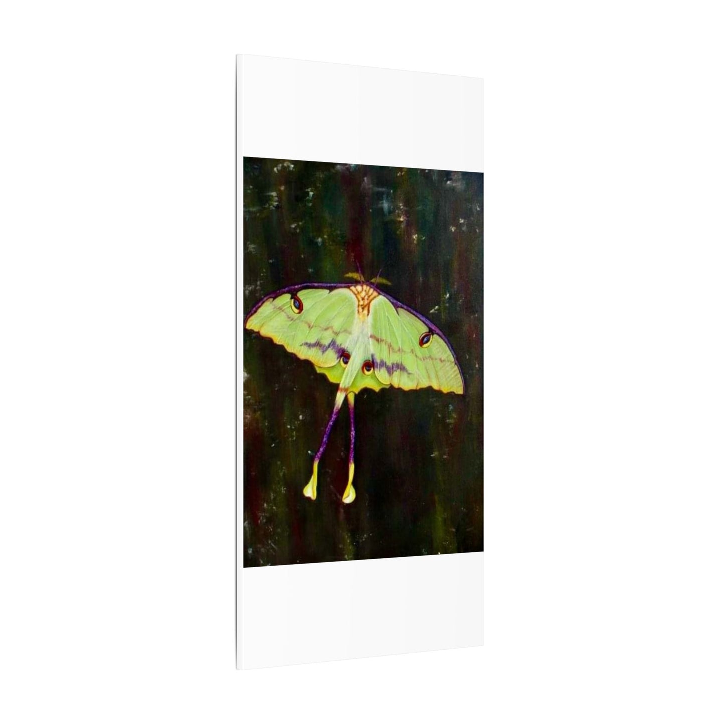 Luna Moth Canvas Wall Art — Matte Stretched Insect Print