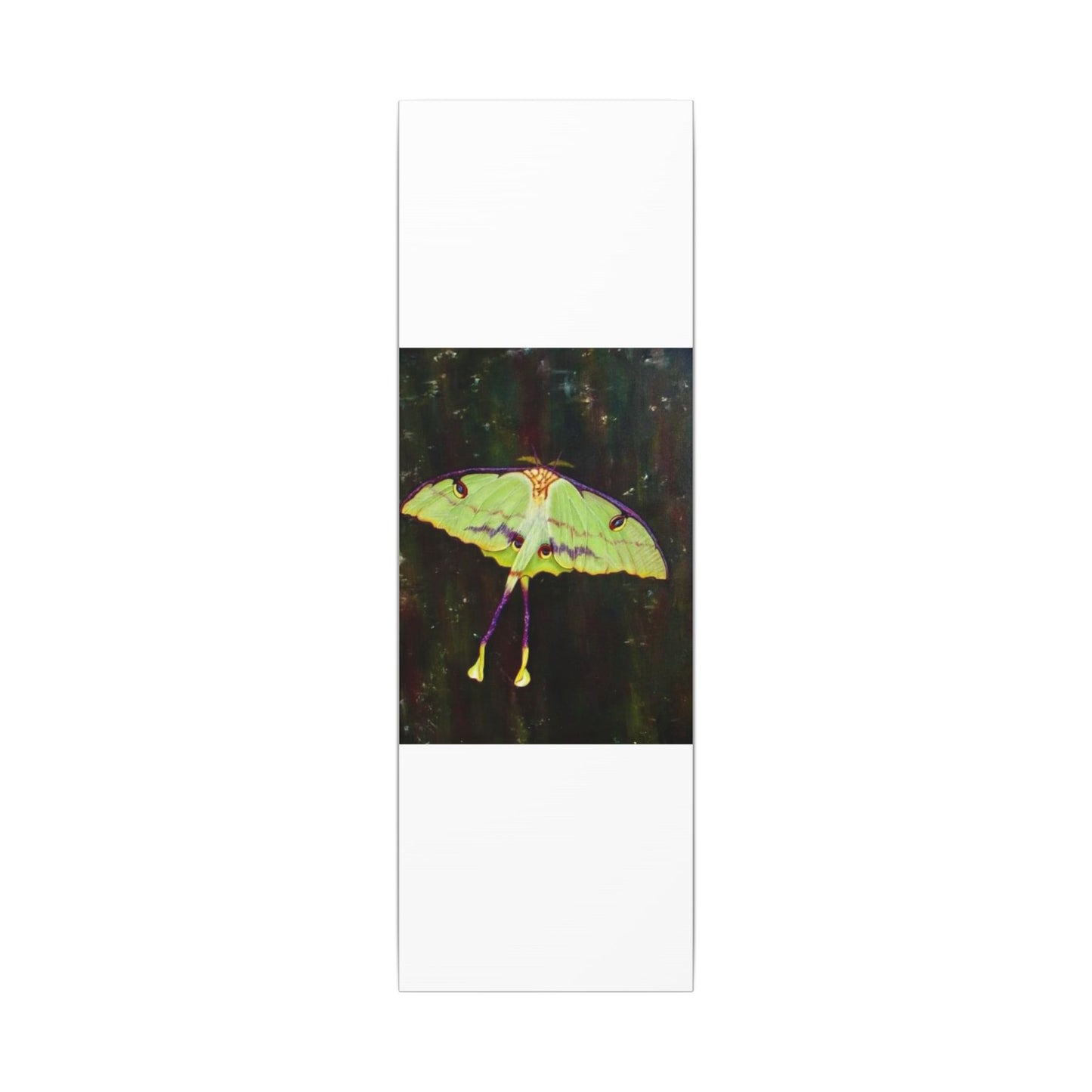 Luna Moth Canvas Wall Art — Matte Stretched Insect Print