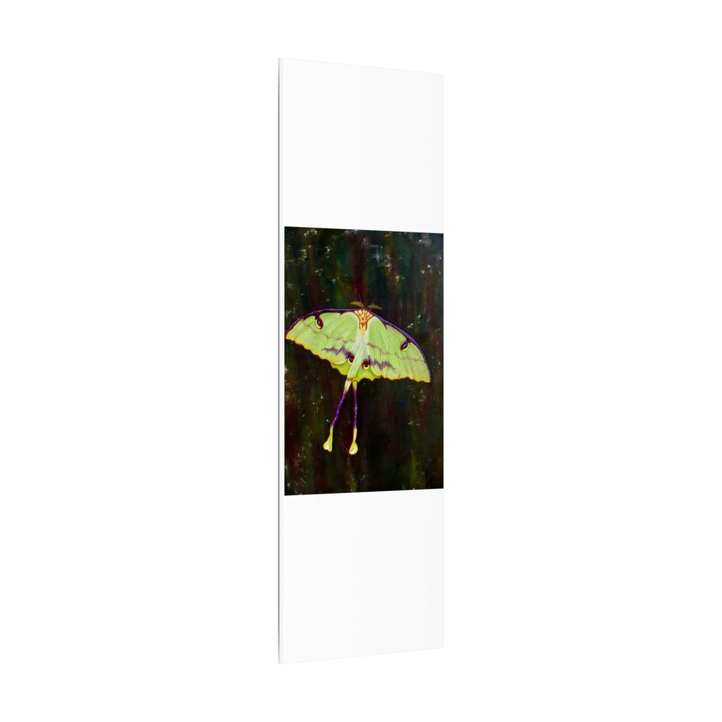 Luna Moth Canvas Wall Art — Matte Stretched Insect Print