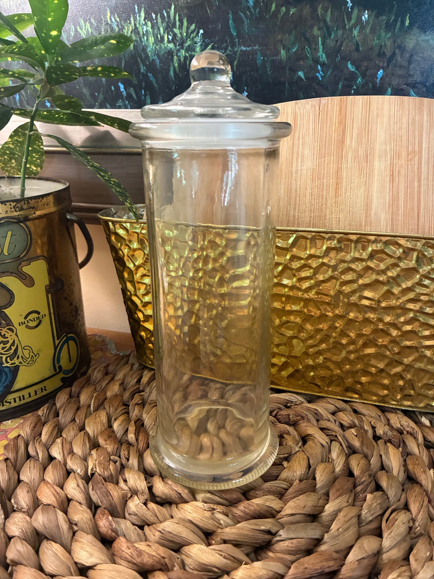 Glass apothecary jar