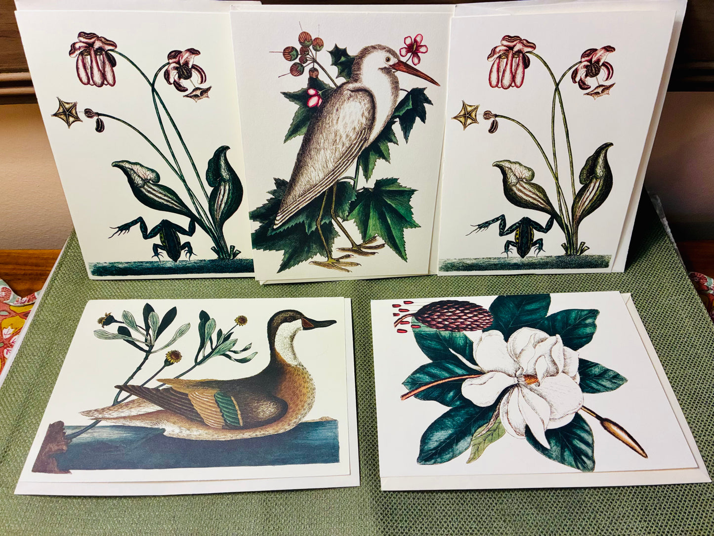 Laurel tree note cards set of 5