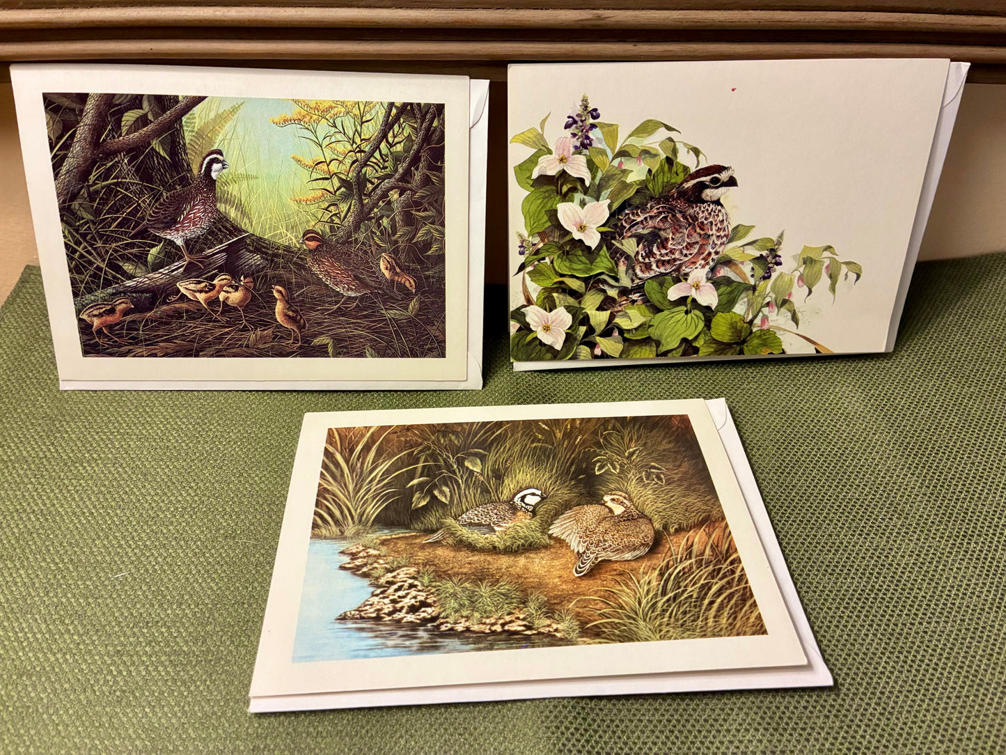Vintage quail unlimited greeting cards set of 3