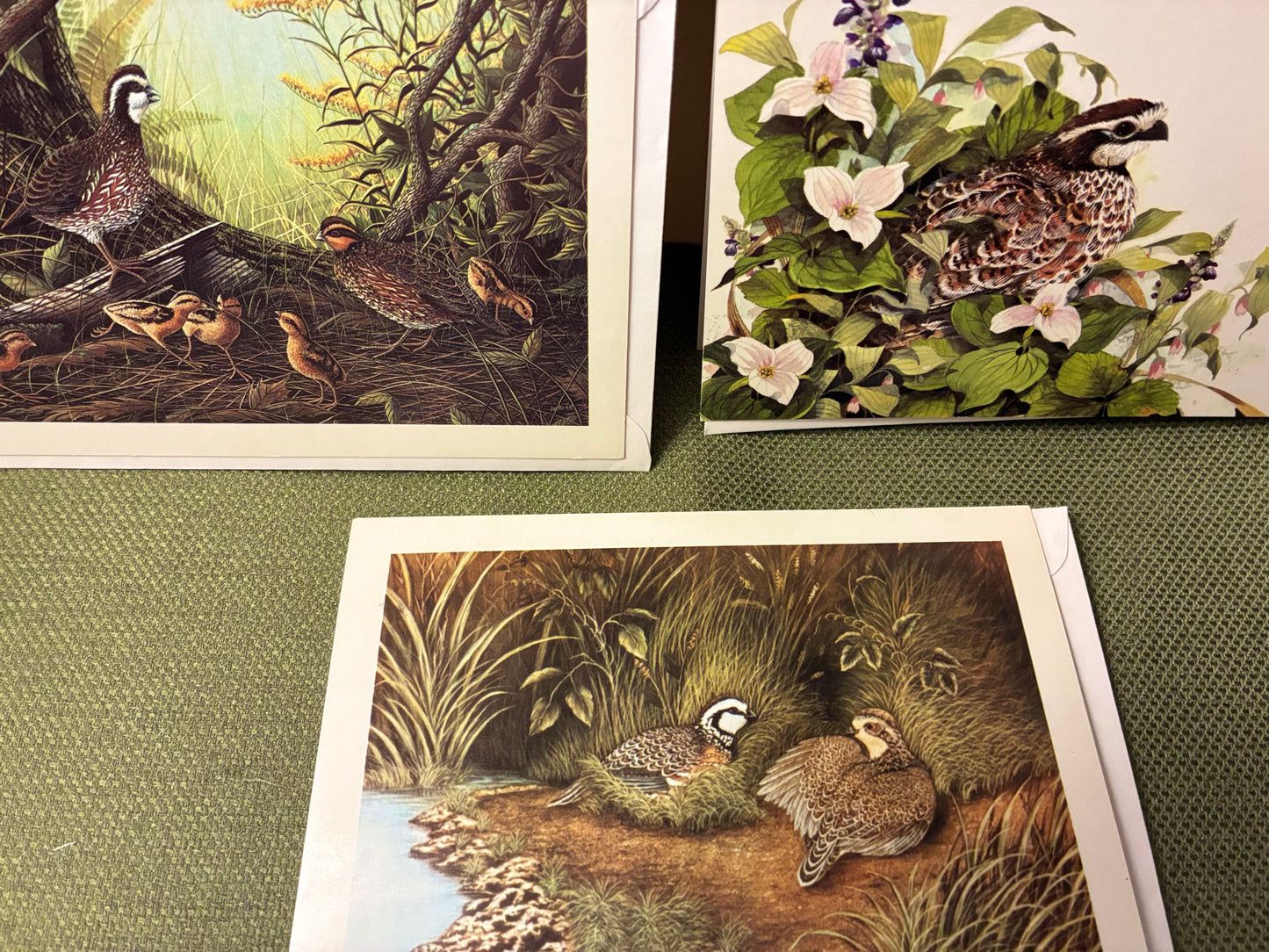 Vintage quail unlimited greeting cards set of 3