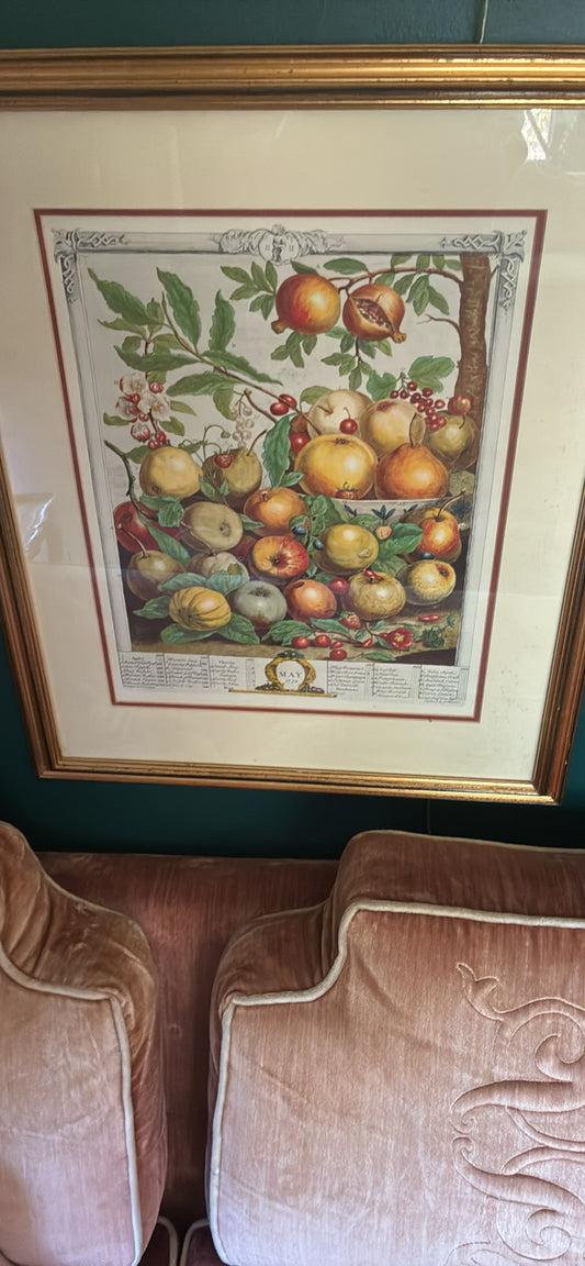 Robert Furber 12 mos of fruit ( May) framed/matted print